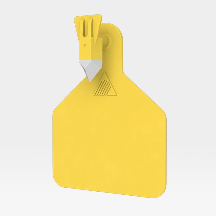 ARETE DE IDENTIFICACION TIPO BANDERA “Arrow Mediano”