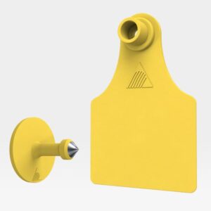 ARETE DE IDENTIFICACION TIPO BANDERA “Forte Grande”