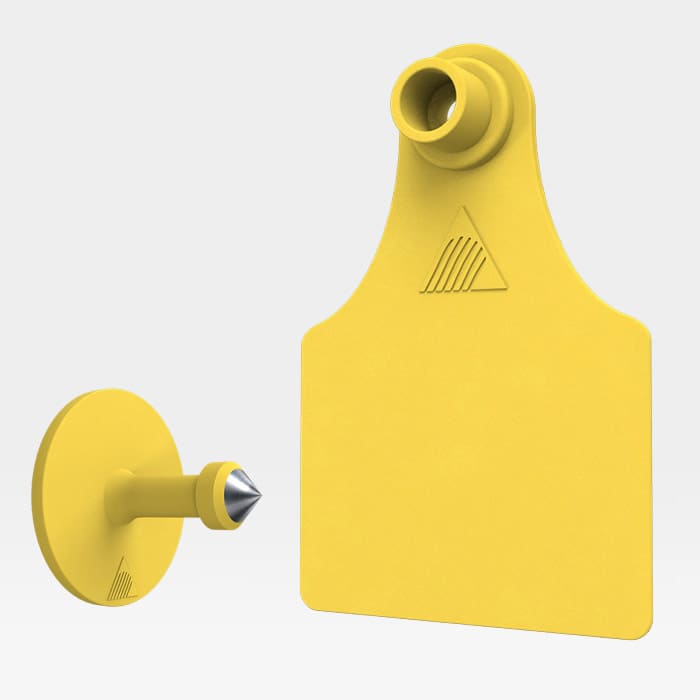 ARETE DE IDENTIFICACION TIPO BANDERA “Forte Grande”